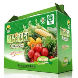 邢臺紙箱定做與養(yǎng)生保健服務(wù) 跨行業(yè)融合下的新機遇與挑戰(zhàn)